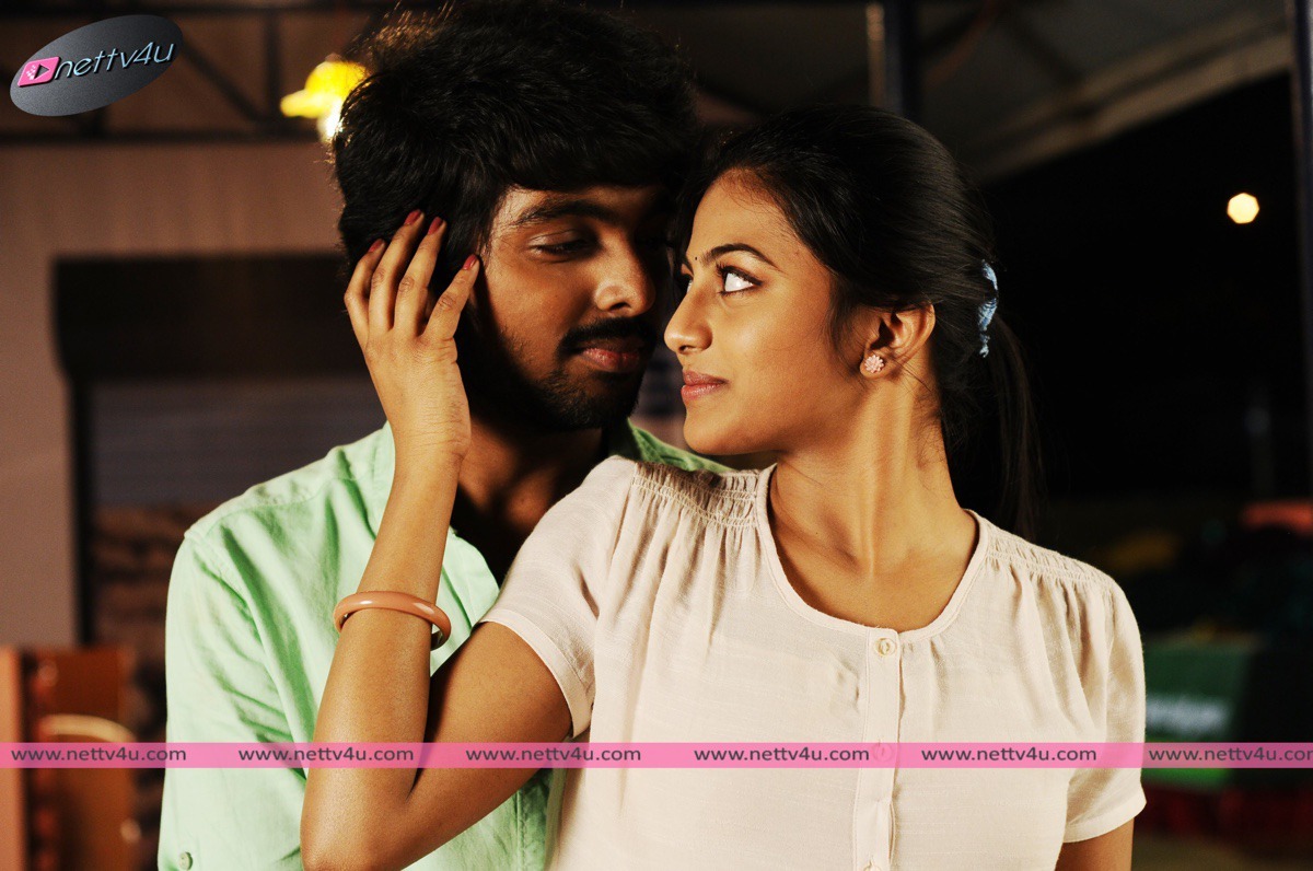 trisha illana nayanthara movie stills 04