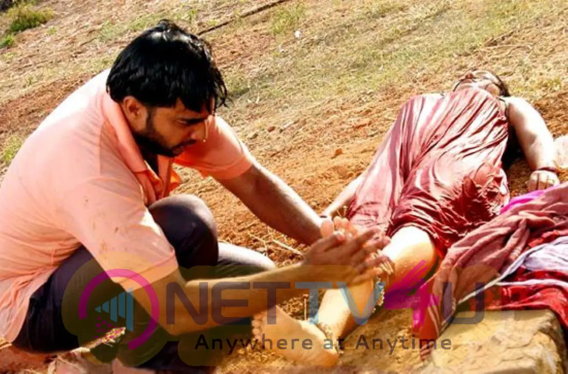 Valluvan Vasuki Tamil Movie Hot Images Tamil Gallery