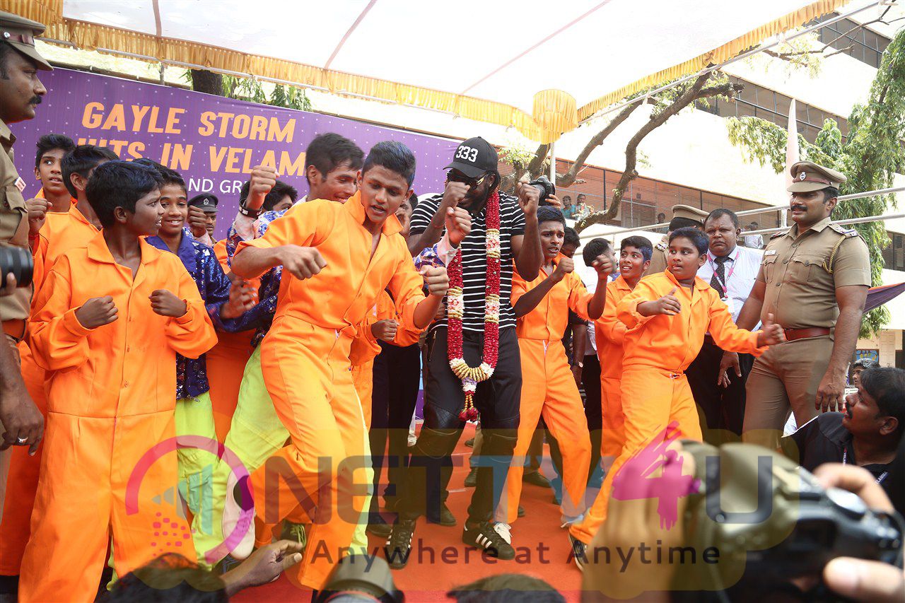 West Indies Cricketer Chris Gayle Visited Velammal School Photos Tamil Gallery