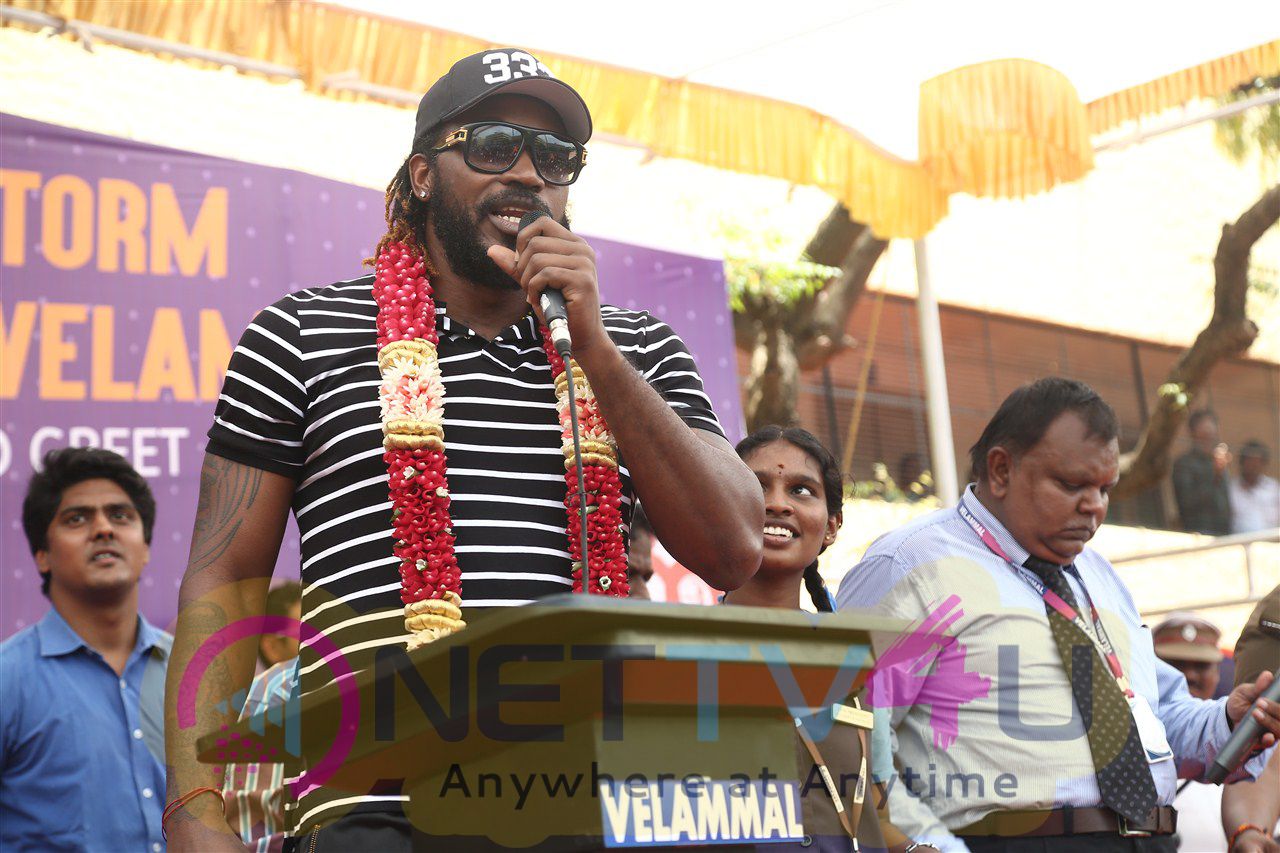 West Indies Cricketer Chris Gayle Visited Velammal School Photos Tamil Gallery