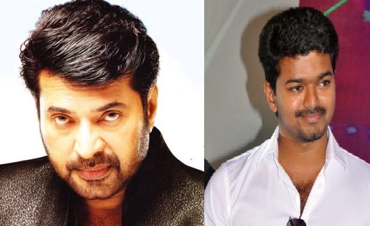 What Mammootty Is Vijay's Villain? | NETTV4U