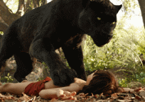 Young Mowgli And His Love For Stunts