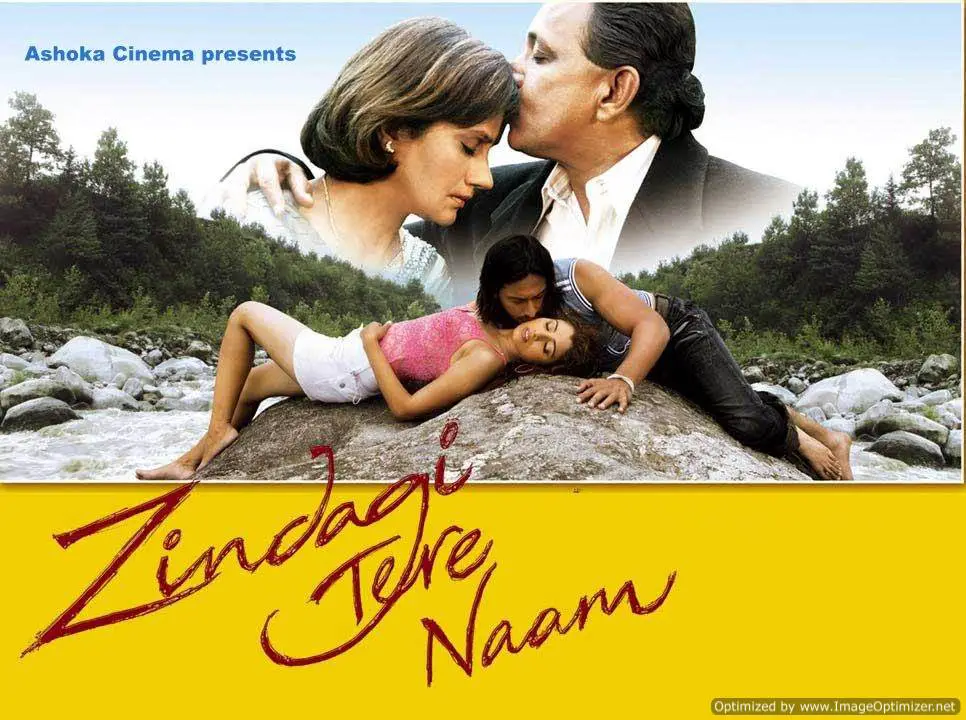 Zindagi Tere Naam Movie Review