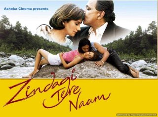 Zindagi Tere Naam Movie Review Hindi