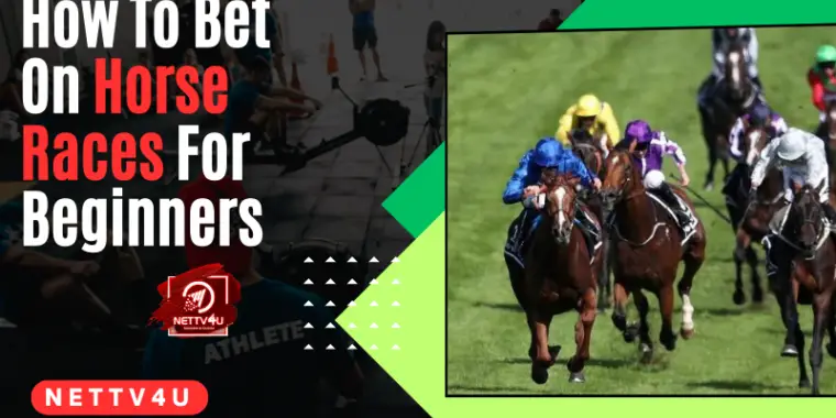 How To Bet On Horse Races For Beginners | Latest Articles | NETTV4U