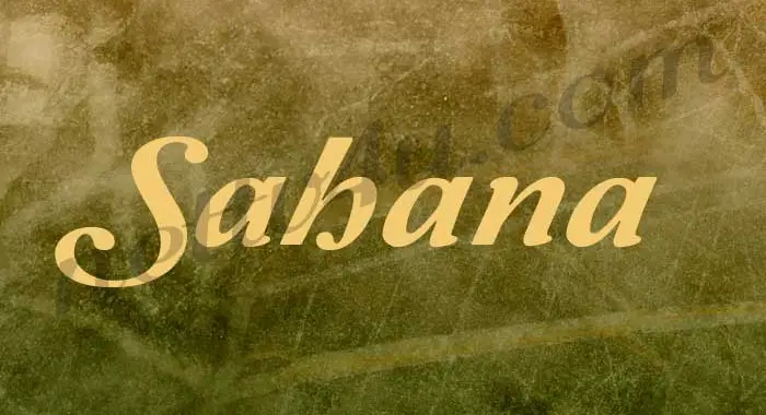 Balachander Sahana Serial