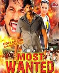 most wanted movie review