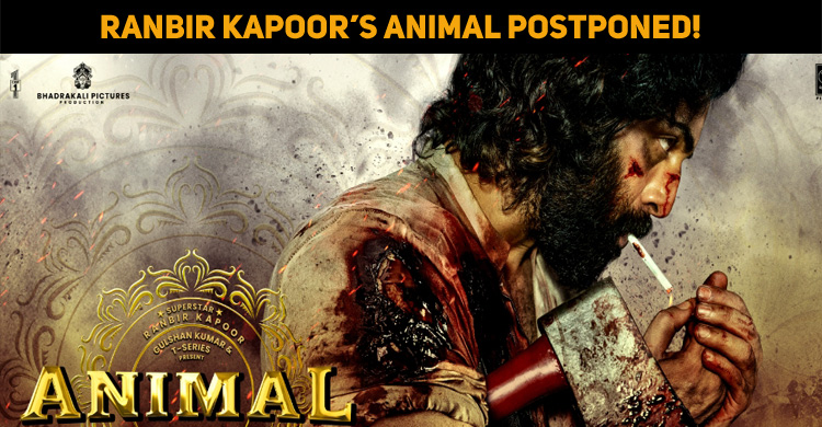 Ranbir Kapoor’s Animal Postponed!