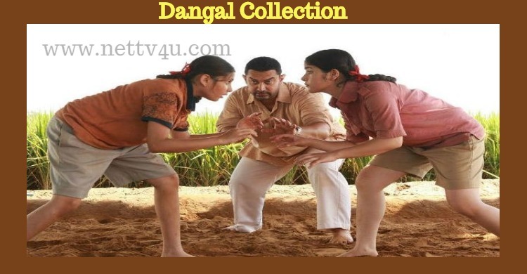 Dangal’s Real Collection Detail Revealed!