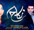 Nikah Urdu tv-serials on HUM TV