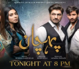 Pehchaan-Urdu Urdu tv-serials on HUM TV