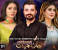 Jaan E Jahan Urdu tv-serials on ARY DIGITAL