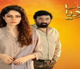 Dil Mom Ka Diya Urdu tv-serials on ARY DIGITAL