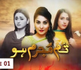 Tum Mujrim Ho Urdu tv-serials on URDU 1