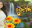 Sata Bhainka Sunanaki Odia tv-serials on Zee Sarthak