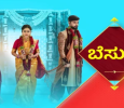 Besuge - Serial Kannada tv-serials on Star Suvarna