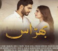 Bharaas Urdu tv-serials on ARY DIGITAL