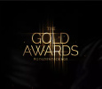 Zee Gold Awards 2013 Hindi awards on ZEE TV