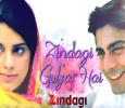Zindagi Gulzar Hai Hindi tv-shows on Zindagi TV