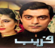 Faraib Urdu tv-serials on Play Entertainment