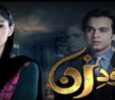 Wajood E Zan Urdu tv-serials on PTV Home