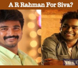 A R Rahman For Sivakarthikeyan?