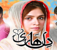 Dil Haari Urdu tv-serials on ARY Zindagi