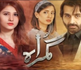 Gumrah Urdu tv-serials on HUM TV