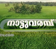 Naatu Varambu Malayalam tv-shows on Janam TV