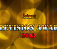 Asianet Television Awards 2013 Malayalam awards on Asianet TV
