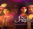 Ro Raha Hai Dil Urdu tv-serials on TV One