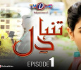 Tanha Dil  Urdu tv-serials on TV One