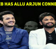 Guche Gulabi From MEB Has Allu Arjun Connect!