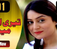 Teri Ulfat Mein Urdu tv-serials on A PLUS