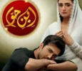  Ibn-e-Hawwa Urdu tv-serials on HUM TV