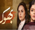 Bhook Urdu tv-serials on HUM TV