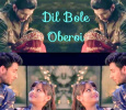 Dil Bole Oberoi Hindi tv-serials on STAR PLUS