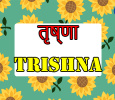 Trishna Hindi tv-shows on DOORDARSHAN