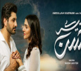 Meray Mohsin Urdu tv-serials on Geo TV