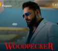Woodpecker Hindi web-series on Ullu App