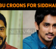 Simbu Croons For Siddharth!
