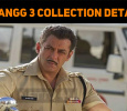 Dabangg 3 Collection Details!