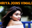 Superstar Heroine Joins Vimal?
