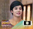 Suryakantham Telugu tv-serials on ZEE TELUGU