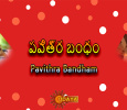 Pavithra Bandham Telugu tv-serials on Gemini TV
