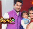 Rani Vaasam Telugu tv-serials on Gemini TV