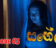 Saheli-Hiru TV Sinhala tv-serials on Hiru TV