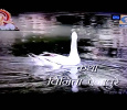 Padari Aala Aabhal  Marathi tv-serials on DD sahyadri