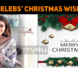 Happy Christmas - Celebrities’ Christmas Wish!