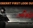 Roberrt First Look Out!
